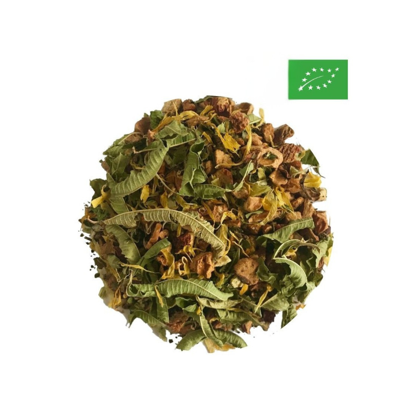 Tea Discovery Set - Starter Collection