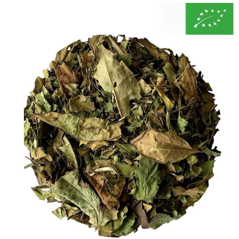 Organic Pai Mu Tan White Tea